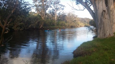 Kayaking on the Denmark River